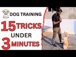 15 Dog Training Tricks in Just UNDER 3 minutes! #dogtraining #smartdogtraining