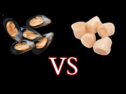 MUSSELS Vs SCALLOPS:  WINNER?