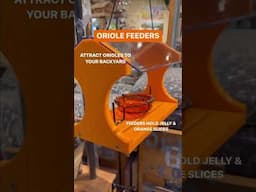 Oriole Feeders #orioles  #birdfeed #giftideas