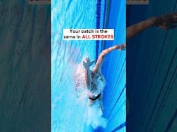 Your catch is the same in ALL strokes #swimming