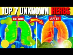 Top 7 Unknown Herbs to Banish Phlegm and Mucus Naturally!