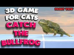 3D game for cats | Catch the BULLFROG (front view) | 4K, 60 fps, stereo sound