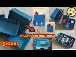 Mushroom box reuse ideas/waste plastic box reuse ideas/no cost organizer#kitchenorganization