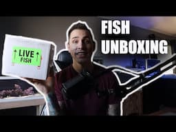 FISH UNBOXING 2020