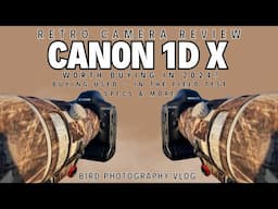 Canon 1D X - Retro Camera Review in the Field | Worth Buying in 2024 for Wildlife Photography