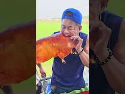 #lechon #mukbangphillipines #tolbuloymukbang