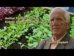 Studies Linking Animal Protein Intake to Kidney Cancer, Heart Disease, and Prostate Cancer