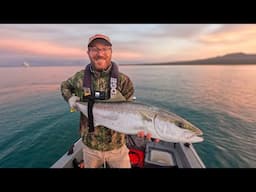 My biggest Kingfish while FLY FISHING in Auckland