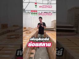 ดินเน่า ขอบคุณครับ #ดินเน่ากู้ดิน #เกษตรอินทรีย์ #จุลินทรีย์