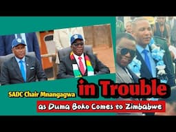 SADC Chair Mnangagwa in Trouble as Duma Boko  comes to Zimbabwe to Adress Mozambique issue