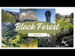 Unforgettable Hiking Experience in Freiburg's Black Forest