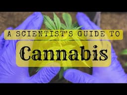 The Science of Cannabis with Dr. Amber Wise