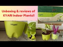 Unboxing&Review of KYARI Indoor Plants! #kyari#plantlover#indoorplants#plantcare #unboxingandreview