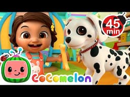 Nina's Pet Store Visit! + More Nina's Familia! | CoComelon Nursery Rhymes & Kids Songs