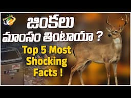 జింకలు మాంసం తింటాయా ? Top 5 Most Shocking Facts || Planet Leaf