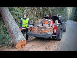 Mid-Winter Roadside Firewood Haul in the National Forest