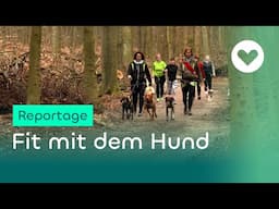 Fit mit dem Hund