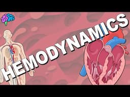 The Principles of Hemodynamics EXPLAINED