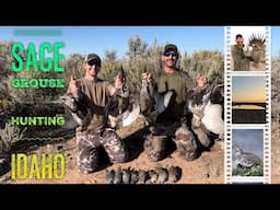 Sage Grouse Hunting Idaho