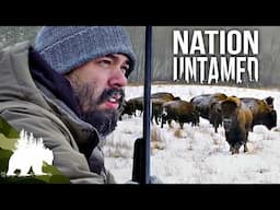 Nation Untamed: The Old Ways of Survival | Complete Series | Part 1 | Survival Show