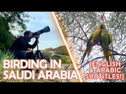 {ENG/ARABIC SUB} Channel Update and Our First Birding Adventure in Saudi Arabia