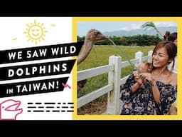 #1: WE SAW WILD DOLPHINS IN TAIWAN! | Around with ElaineRuiMin