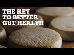 EP: 450 Ancestral Cheesemaking for Better Gut Health: Benefits of Traditional Methods w/ David Asher