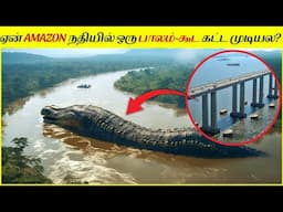 அமேசான் நதிக்கு மேல் பாலம் கட்டாததற்கு இதுதான் காரணம்│Why is there no bridge over the Amazon River?