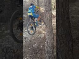 Ascenso sendero con raíces y piedra en ciclismo de montaña