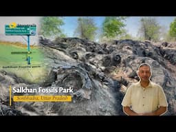 Salkhan Fossils Park | Sonbhadra