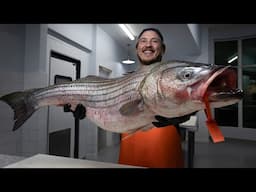 Over 5,000,000 of These Fish Are Caught Every Year