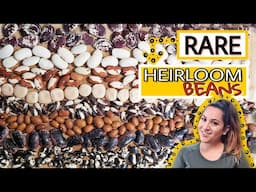 Rare Heirloom Seed Collection & Haul