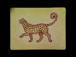 How the Leopard Got His Spots | Read Aloud For Kids | Spoken Arts