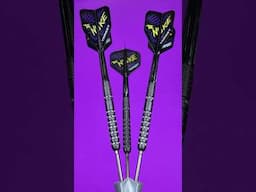 Target LUKE LITTLER Generation 1 Darts #lukelittler  #darts