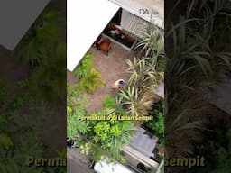 Inspirasi Kebun Rooftop dengan Konsep Permakultur