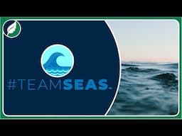 #TeamSeas- why it matters to me