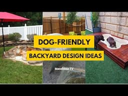 15+ Dog-Friendly Backyard Ideas to Keep Your Dog Happy