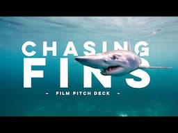 Chasing Fins | Pitch Deck