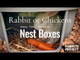 BEST EASY NEST BOX for Chickens and Rabbits  (5 Minute Project)