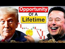 Crypto Market क्रैश कर रही है | Best time to Invest (Buy) ?| Donald Trump & Elon Musk meme coins