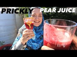 OUR FAVOURITE FRUIT JUICE PRICKLY PEAR | HARGEISA SOMALILAND 2025