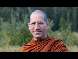 The Cat Whisperer | Ajahn Cunda