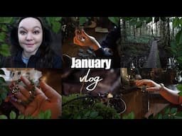 Pagan VLOG: Magical & Mundane Moments of January (Chatty & Slow Living)