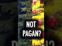 Pagans Didn't Invent the Christmas Tree