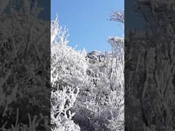 Mt. Karakuni Winter Hike - Kyushu, Japan