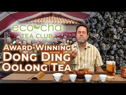 Eco-Cha Tea Club: 108 - Award-Winning Dong Ding Oolong Tea | Eco-Cha Teas