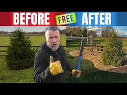 FREE Mulch Makeover | 2-Hour DIY Landscaping Transformation!