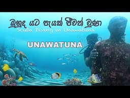 මුහුද යට පැයක් ජීවත් වුණා 🐟 | Scuba Diving in Unawatuna 🤿 | Sri Lanka