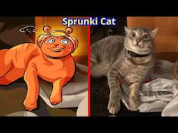 Sprunki Cats Incredibox | Hilarious Pet Antics That Will Brighten Your Day