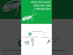 HOW INVASIVE SPECIES AFFECT HUMANS